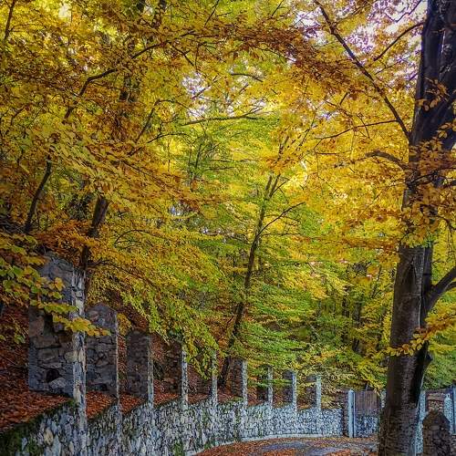 Photo #6642040