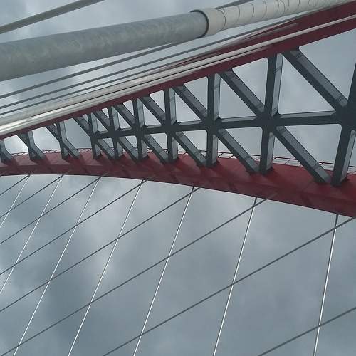 Photo #6642252