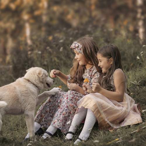 Photo #6642286