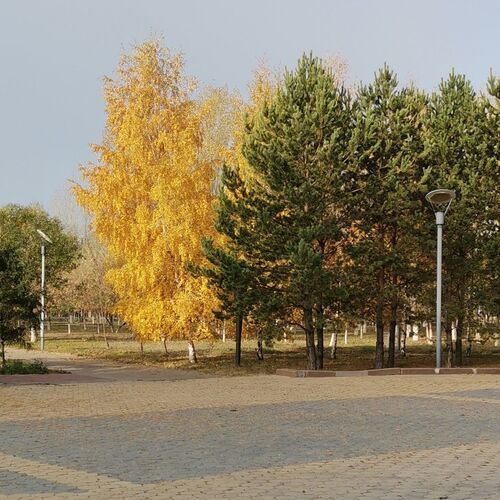 Фотография #6642307