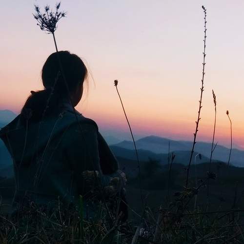 Photo #6642504