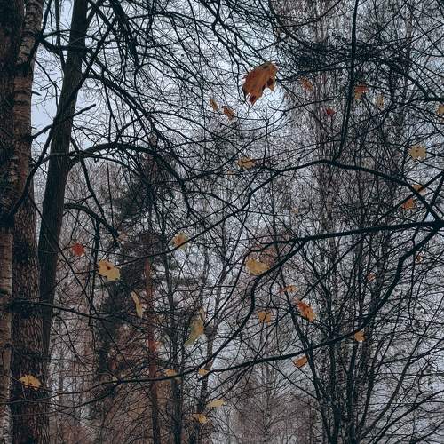 Photo #6642722