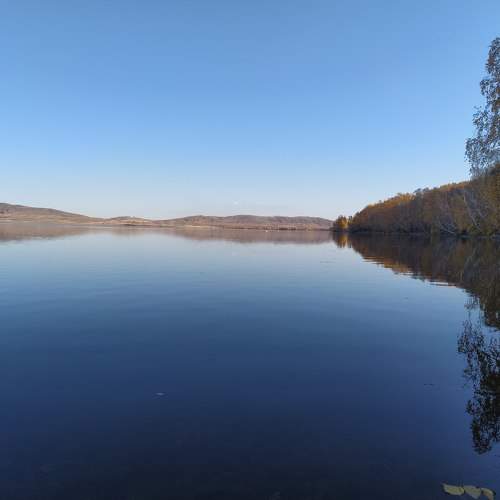 Photo #6642850