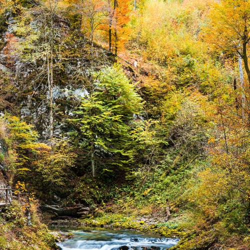 Photo #6642857