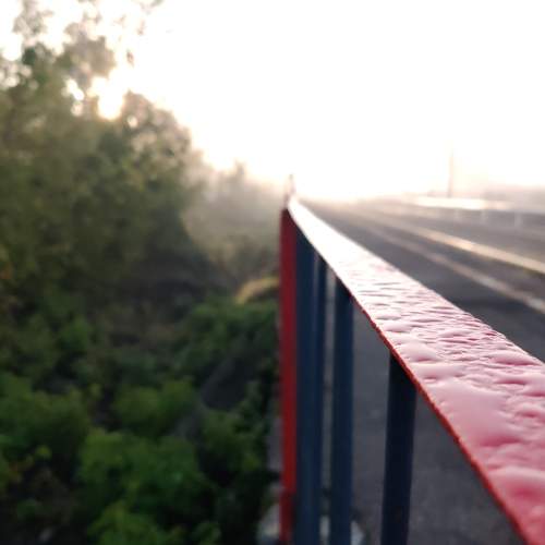 Photo #6642905