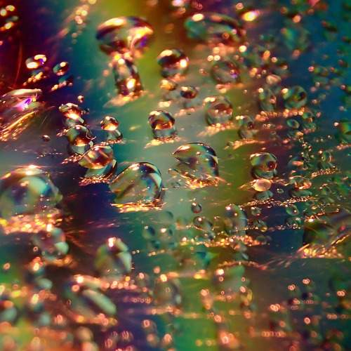 Photo #6642959