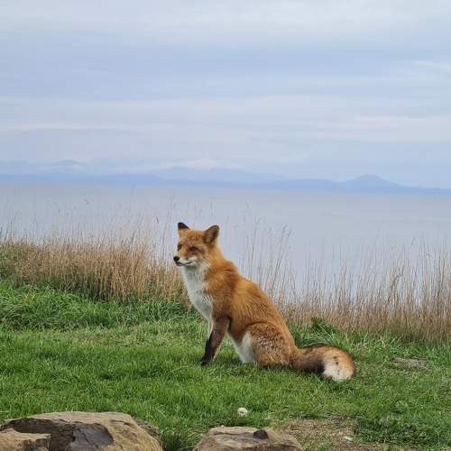 Photo #6642964