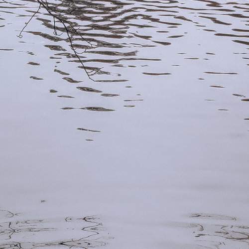 Photo #6643022