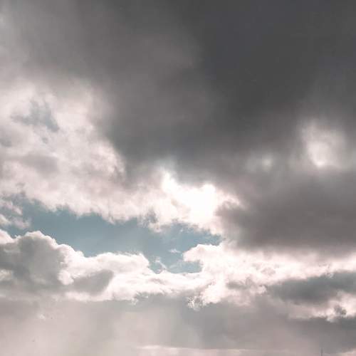 Photo #6643047