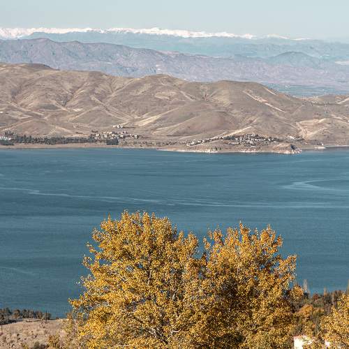Photo #6643086