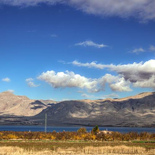 Photo #6643173