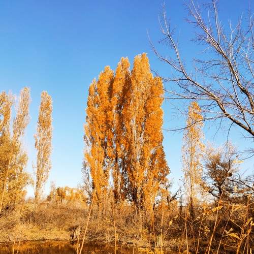 Photo #6643494