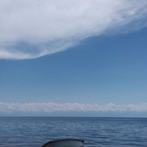 Photo #6643522