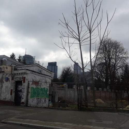 Photo #6643828