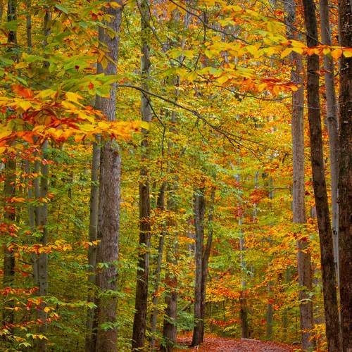 Photo #6643839