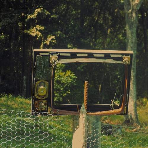 Photo #6643974