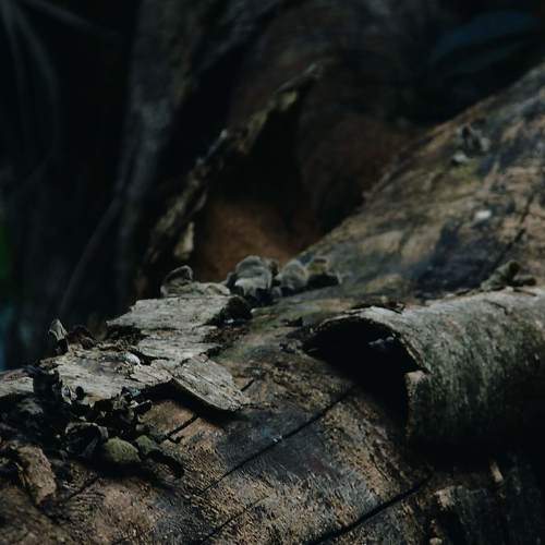 Photo #6643975