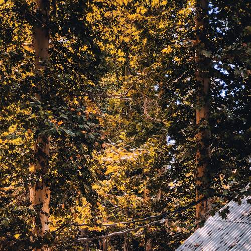 Photo #6644050