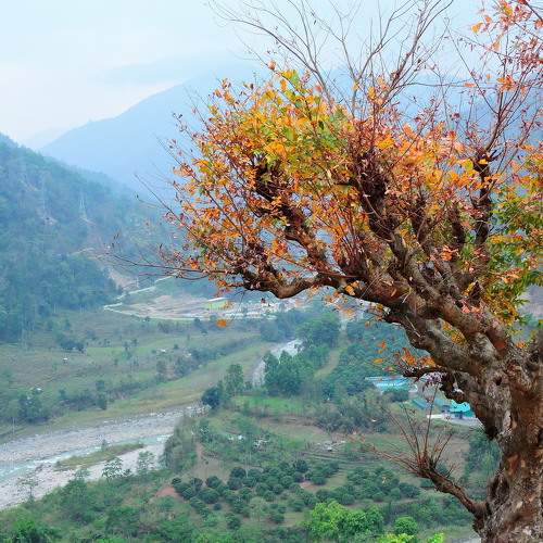 Photo #6644152