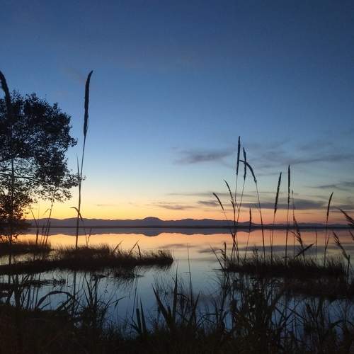 Photo #6644169