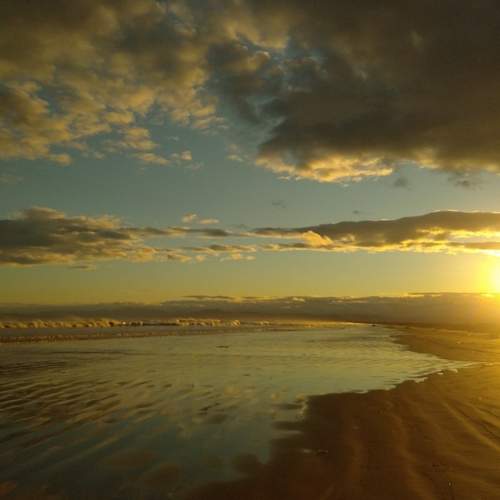 Photo #6644170