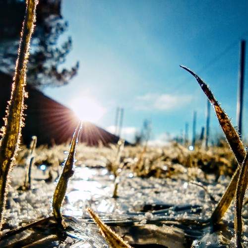 Photo #6644236