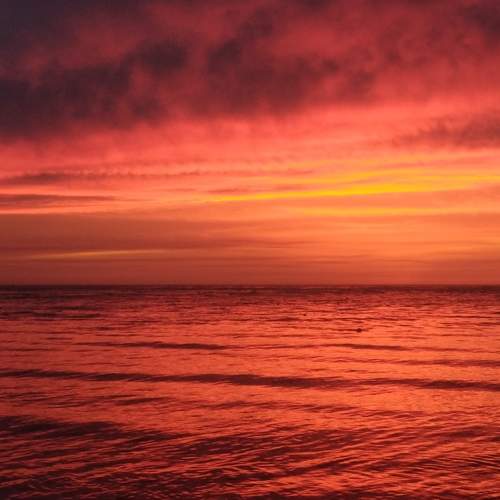 Photo #6644244