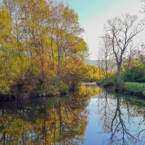 Photo #6644260