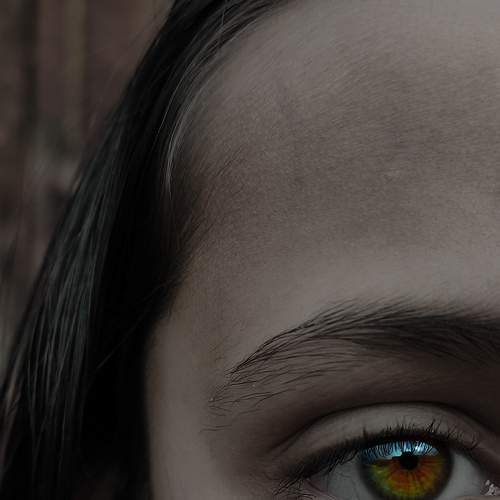 Photo #6644374