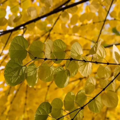 Photo #6644505