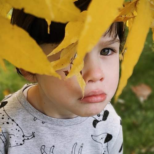 Photo #6644683