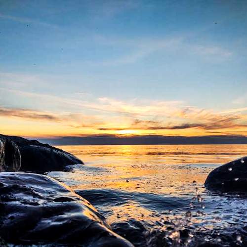 Photo #6644788