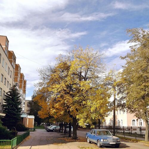 Photo #6644834