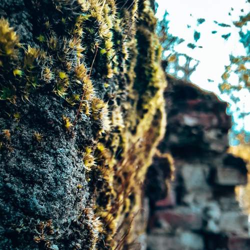 Photo #6644979