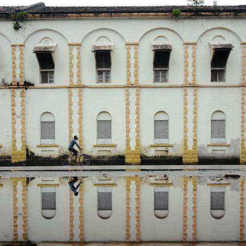 Photo #6645041