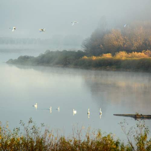 Photo #6645053