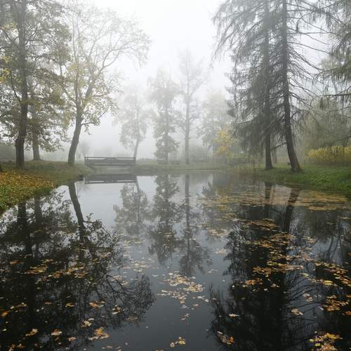 Photo #6645055