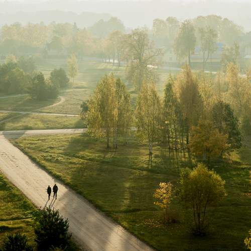 Photo #6645056