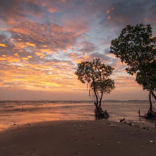 Photo #6645209