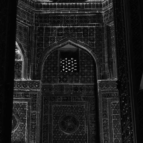 Photo #6645238
