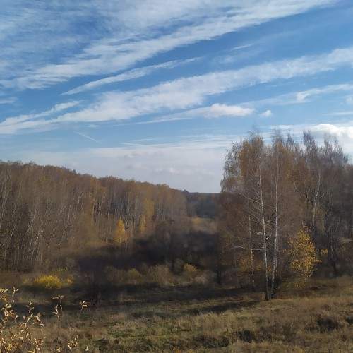 Photo #6645356