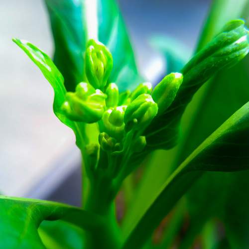 Photo #6645519