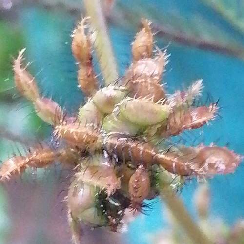Photo #6645527