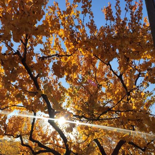 Photo #6645532