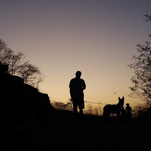 Photo #6645625