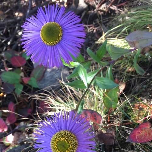 Photo #6645699