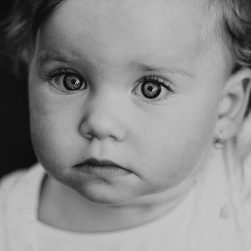 Photo #6645769
