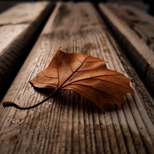 Photo #6645811