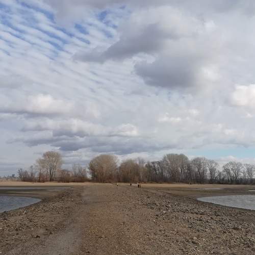 Photo #6645815
