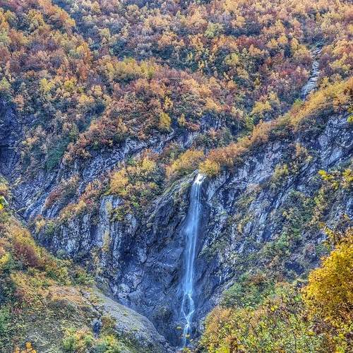 Photo #6645923
